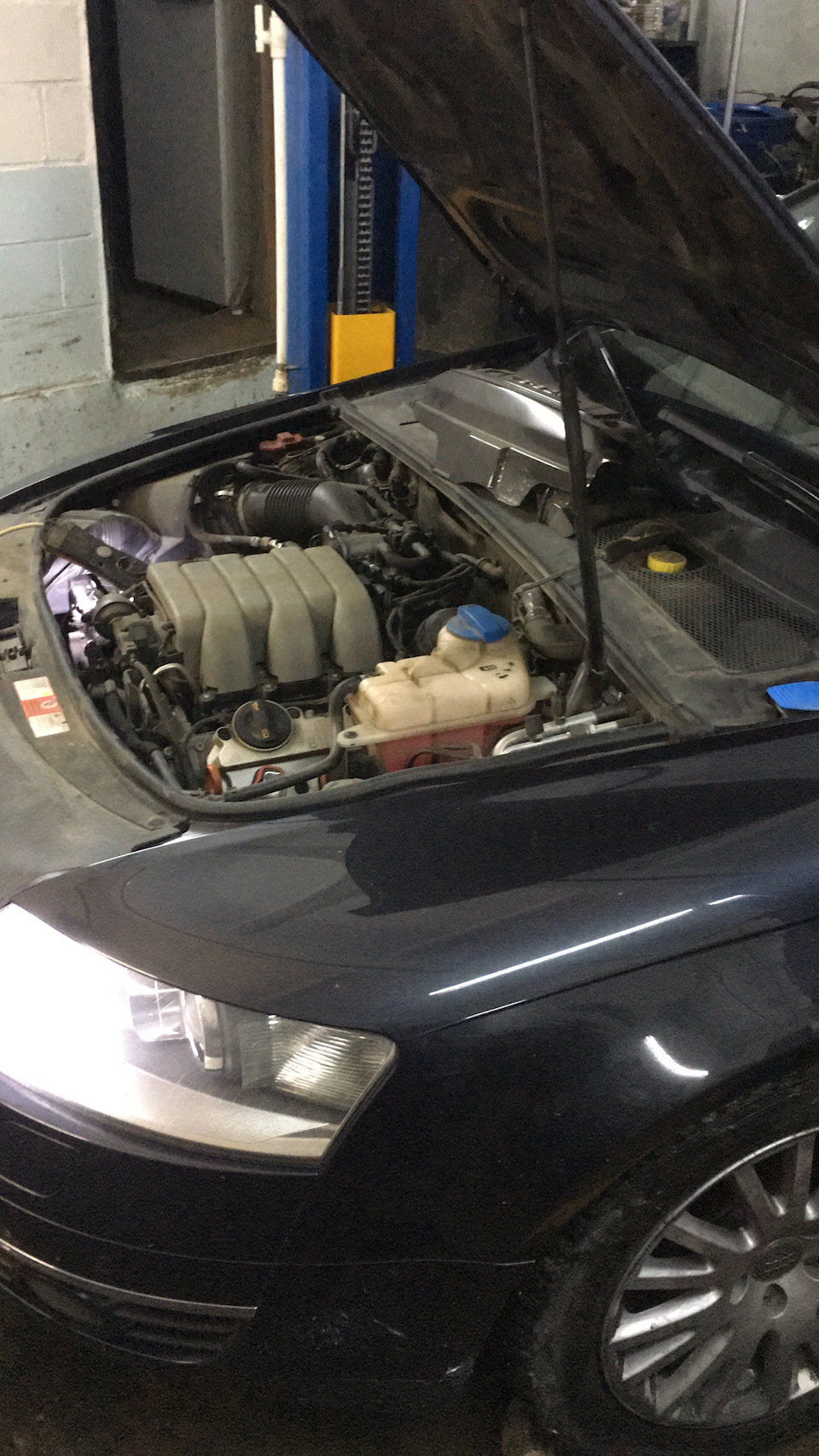 Фото в бортжурнале Audi A6 (C6)