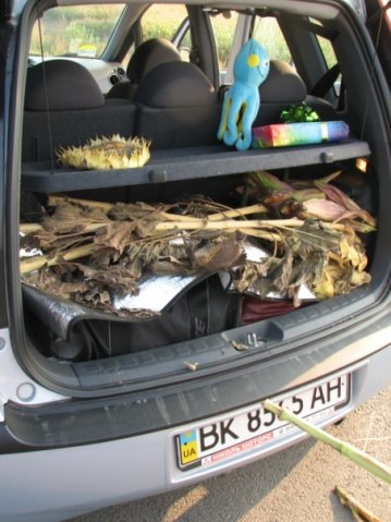 Фото в бортжурнале Mitsubishi Colt VII