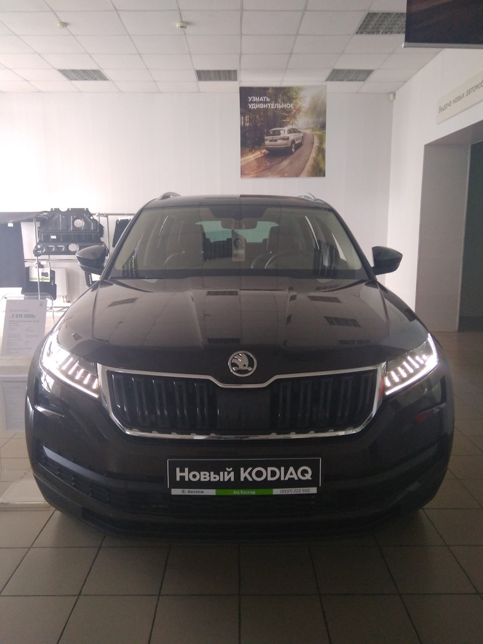 Фото в бортжурнале Toyota RAV4 (IV)