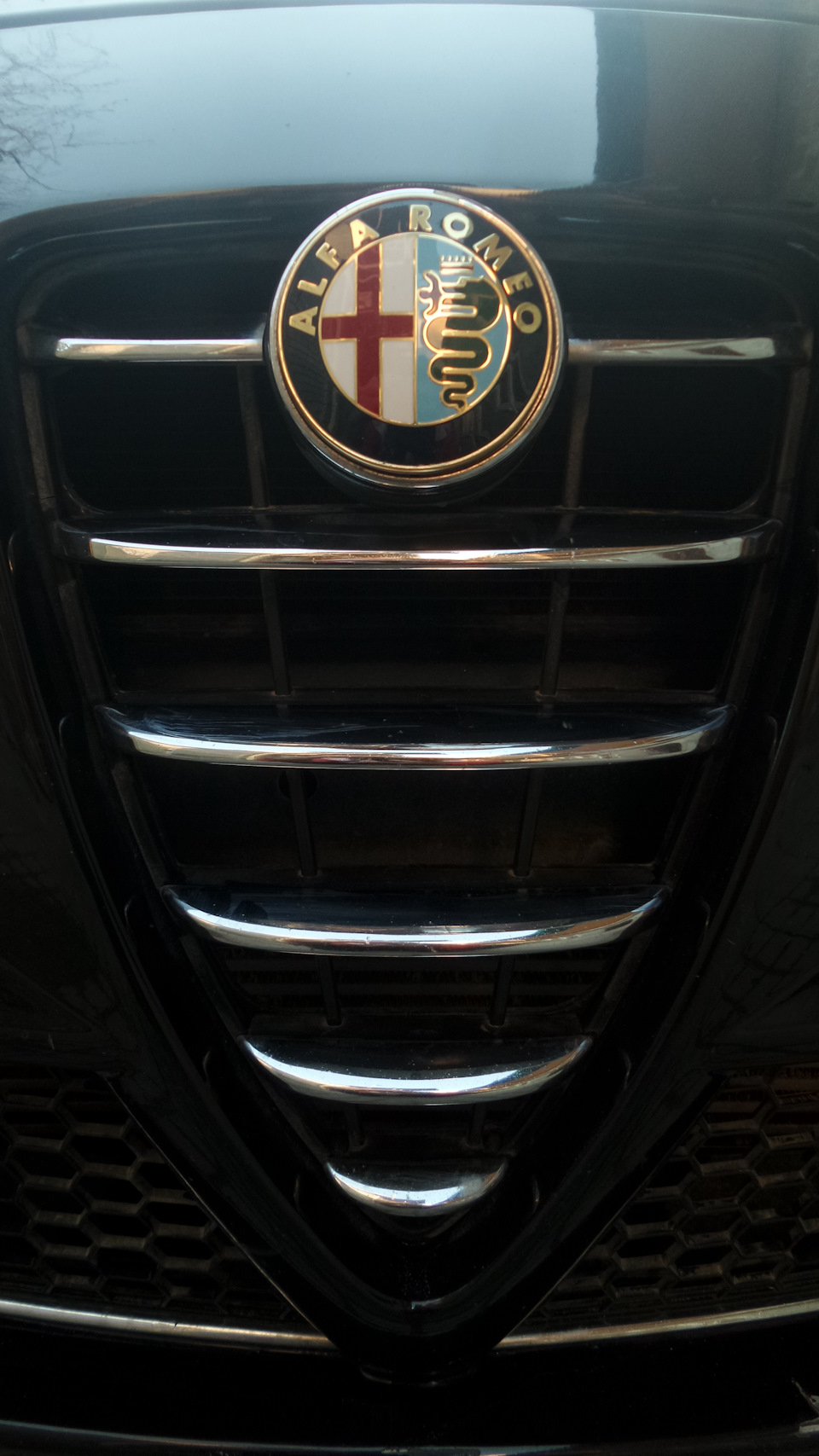 Будет новый отзыв)) — Alfa Romeo Spider (916)