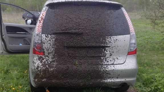 Mitsubishi Grandis