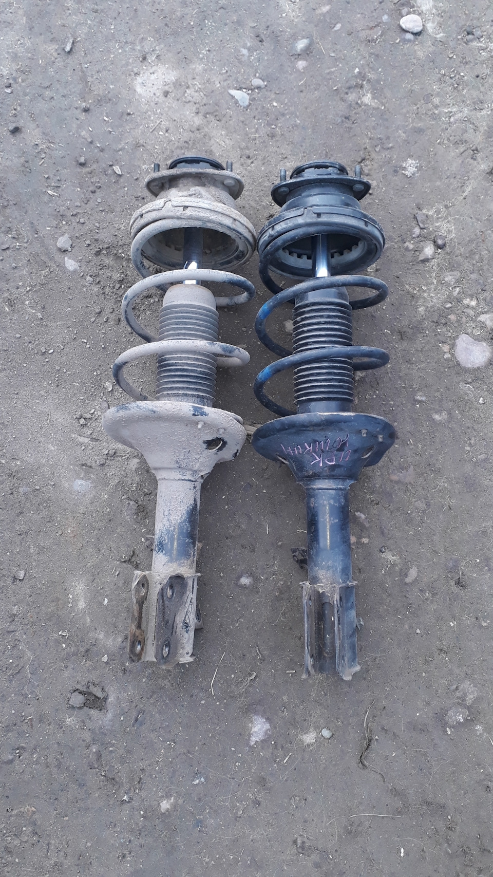 Фото в бортжурнале Subaru Alcyone SVX