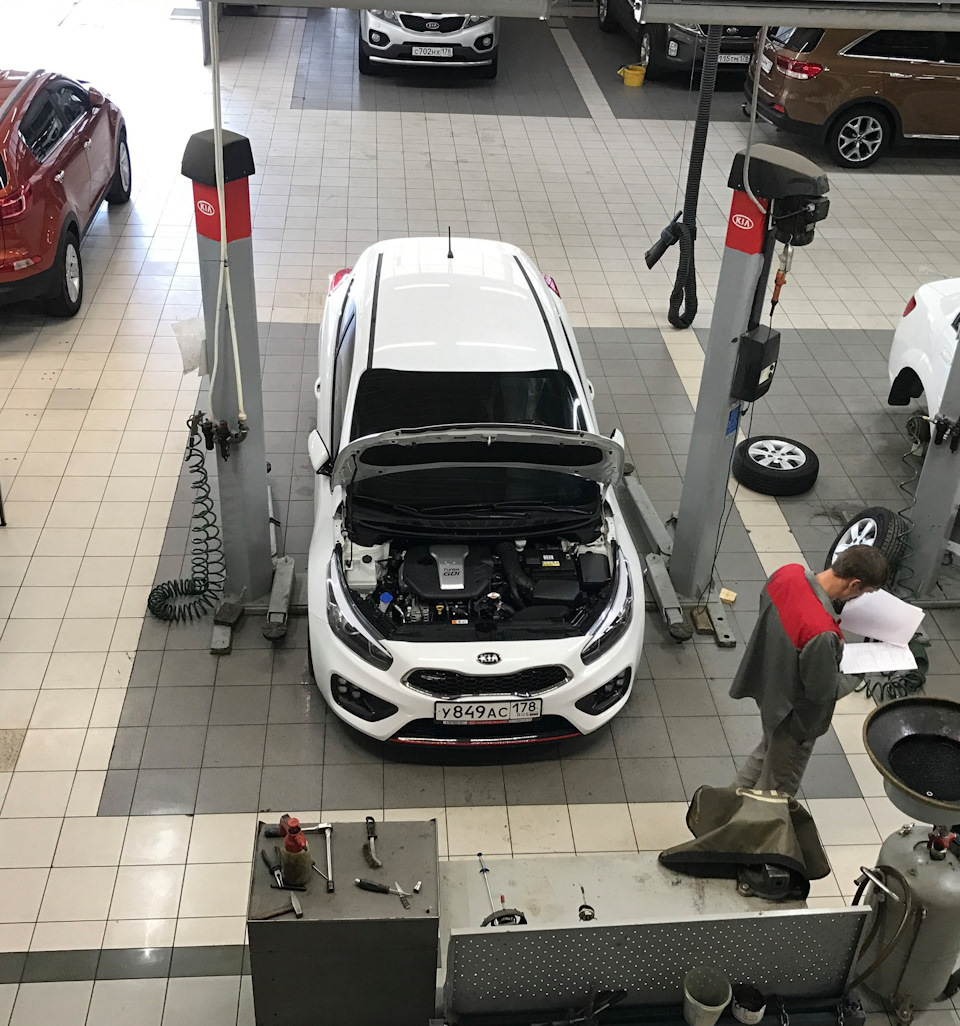 После мойки кузова и двигателя, принялись за ТО — KIA Pro_Ceed GT