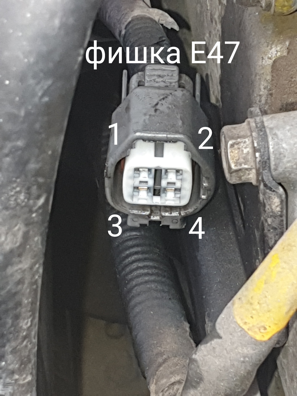 Фишка лямбды — Subaru Legacy (BE/BH/BT)