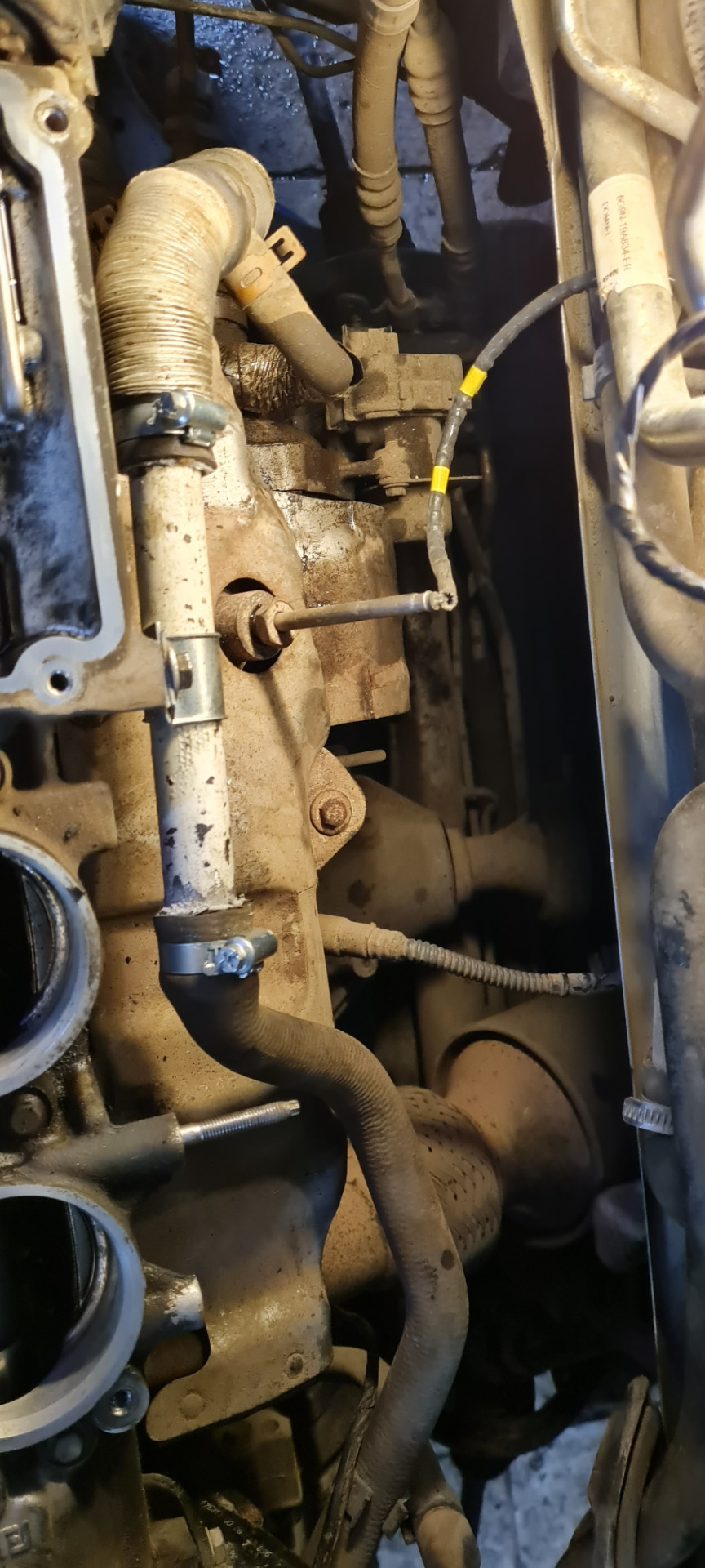 Фото в бортжурнале Land Rover Freelander 2 (L359)