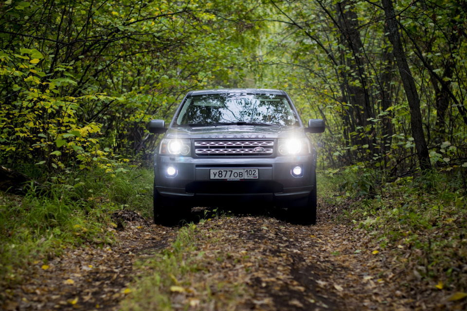 Фото в бортжурнале Land Rover Freelander 2 (L359)