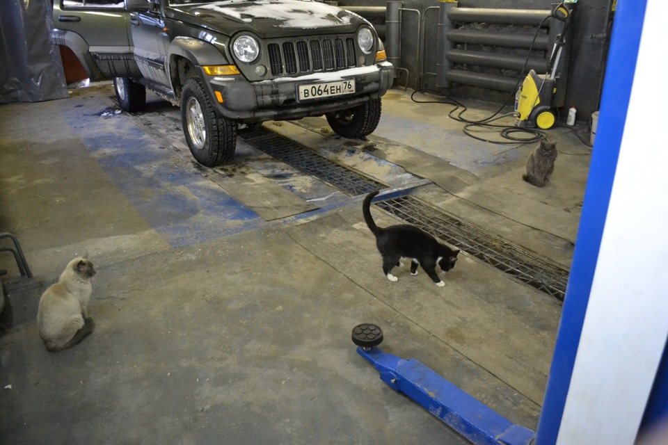 Российский сервис — все ходят, шары катают. — Jeep Cherokee (KJ)