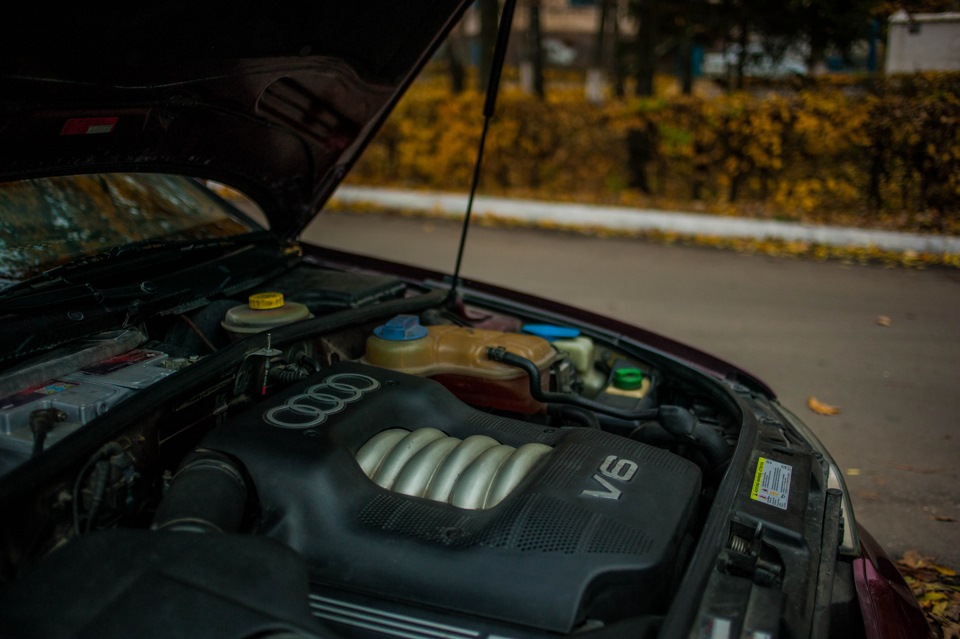Фото в бортжурнале Audi A4 (B5)