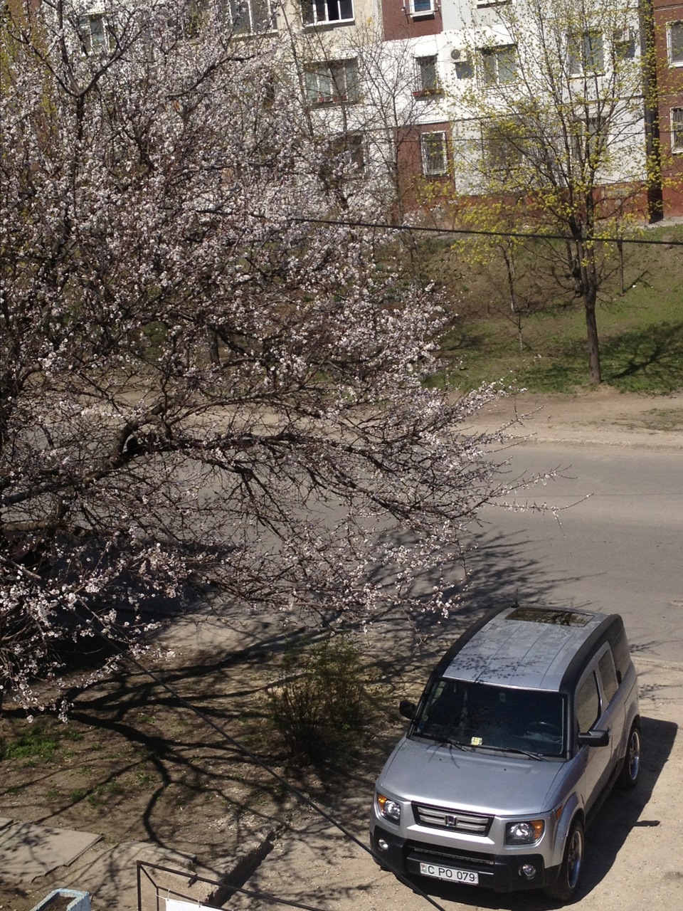почти сакура:) — Honda Element