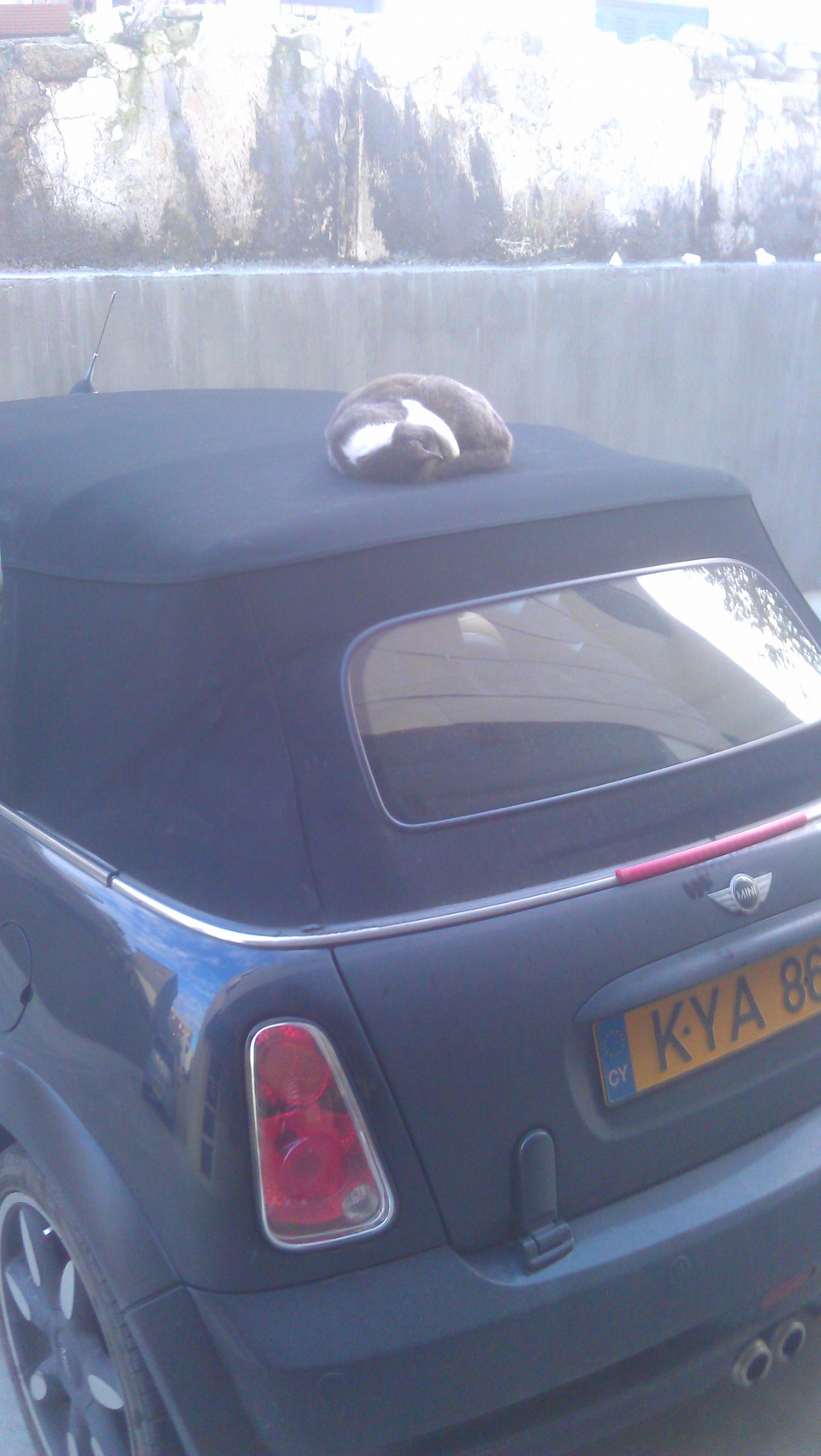 Фото в бортжурнале MINI Cabrio S Mk I