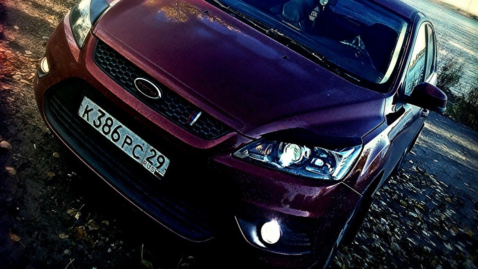 Ford Focus Hatchback ящерский 1.4