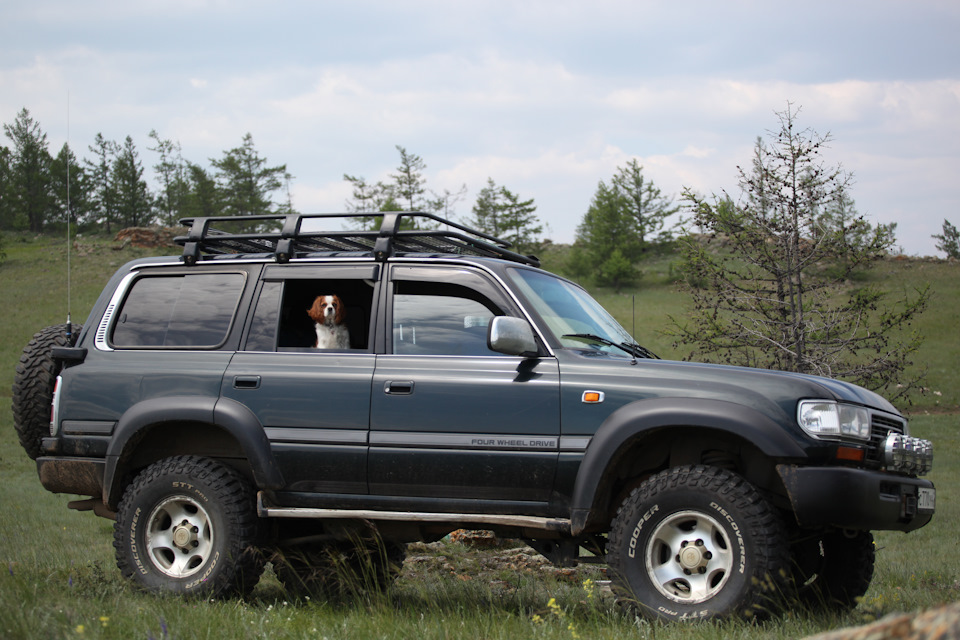 Фото в бортжурнале Toyota Land Cruiser 80