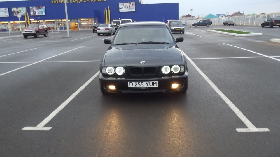 Фото в бортжурнале BMW 5 series (E34)