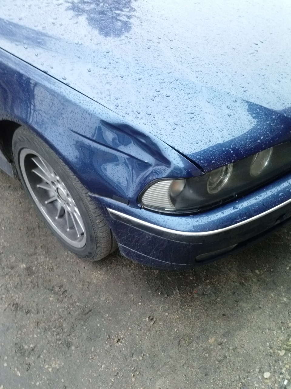 Фото в бортжурнале BMW 5 series (E39)