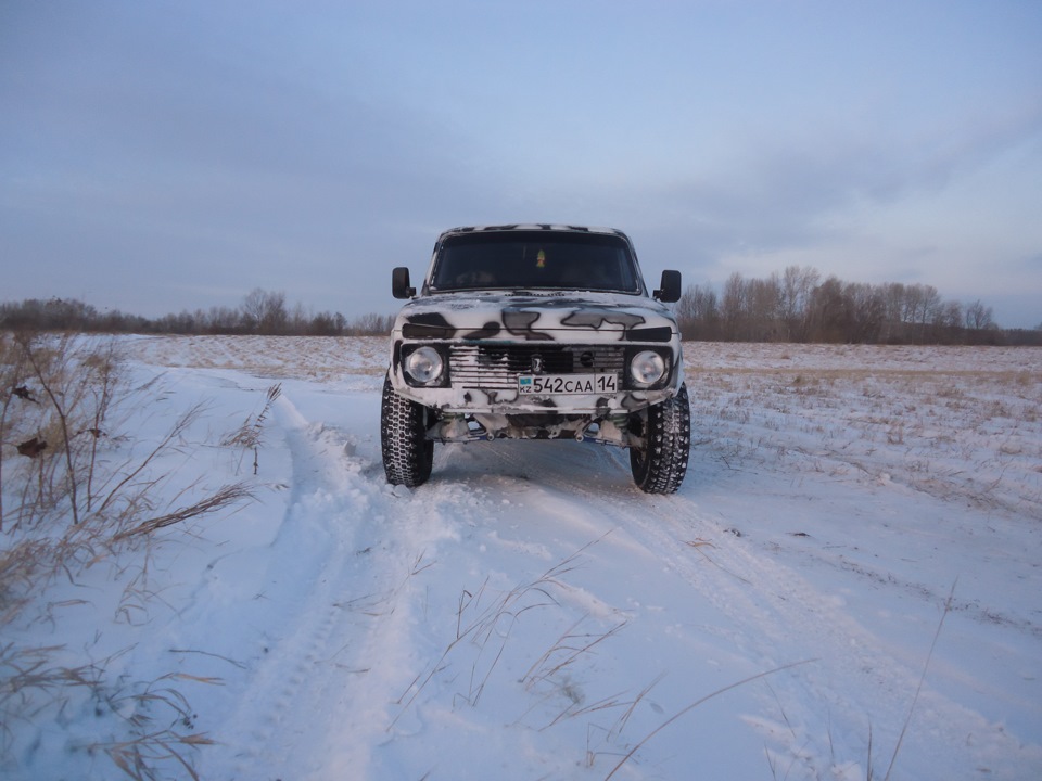 Фото в бортжурнале Lada 4x4 3D