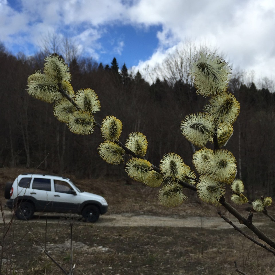 Фото в бортжурнале Chevrolet Niva (1G)
