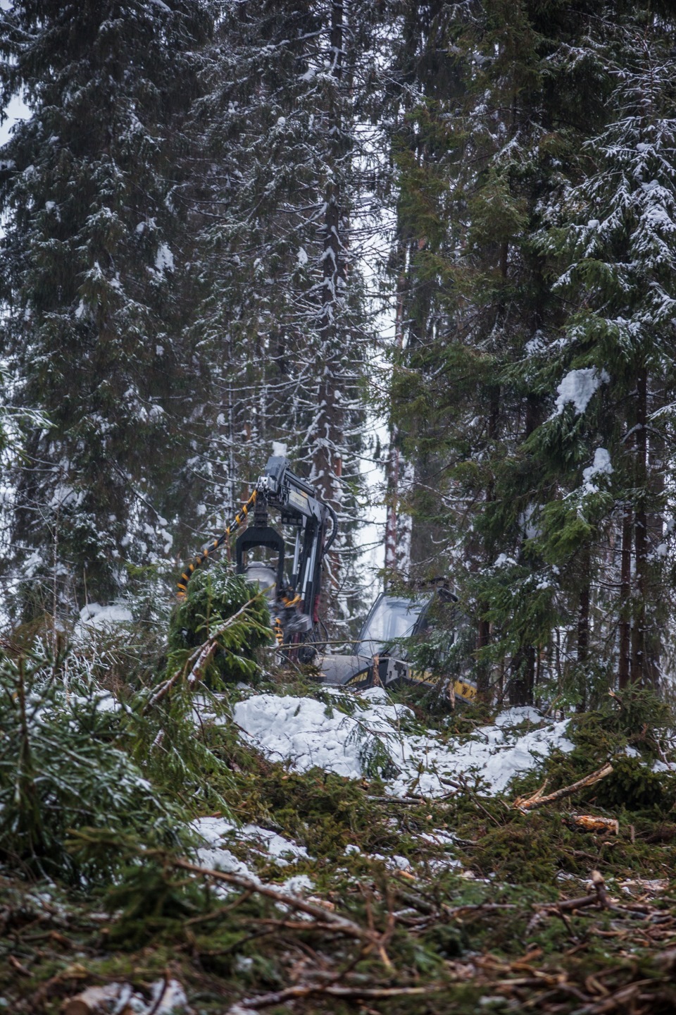 Фото в бортжурнале Land Rover Defender (L315/L316)