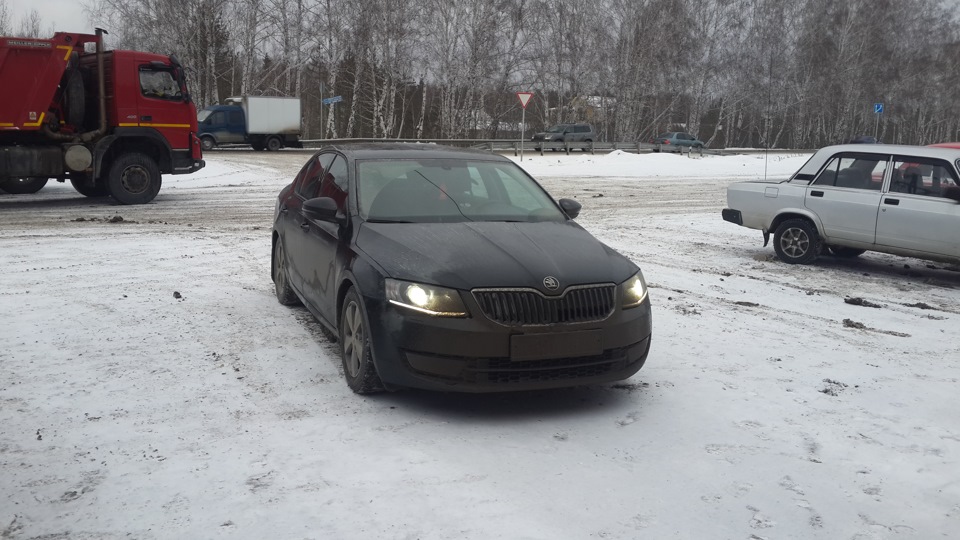 Такие чистые мы подъехали к Ебургу)) — Skoda Octavia A7 Mk3