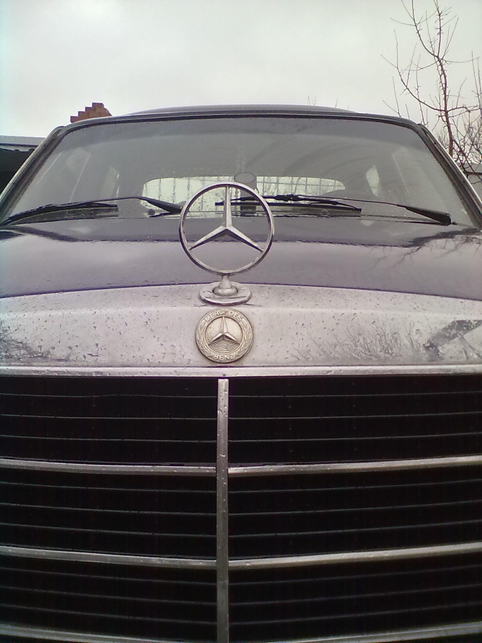 Фото в бортжурнале Mercedes-Benz W123