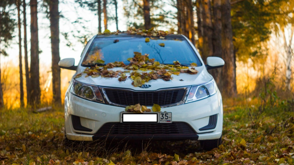 KIA Rio Наглая морда