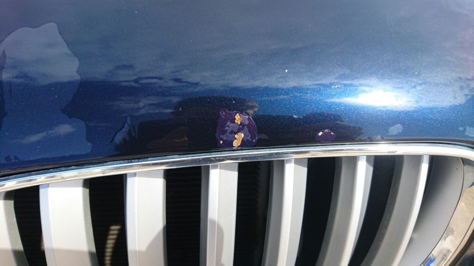 Фото в бортжурнале BMW X5 (E53)