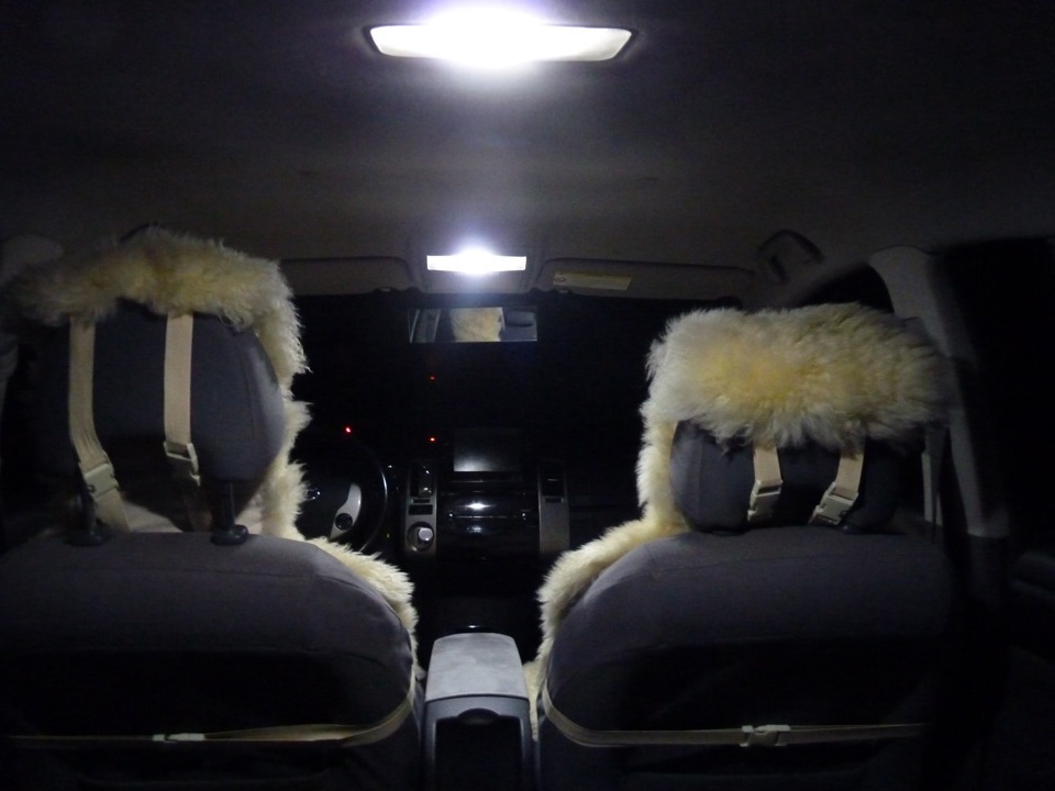 Фото из багажника — Toyota Prius (20)