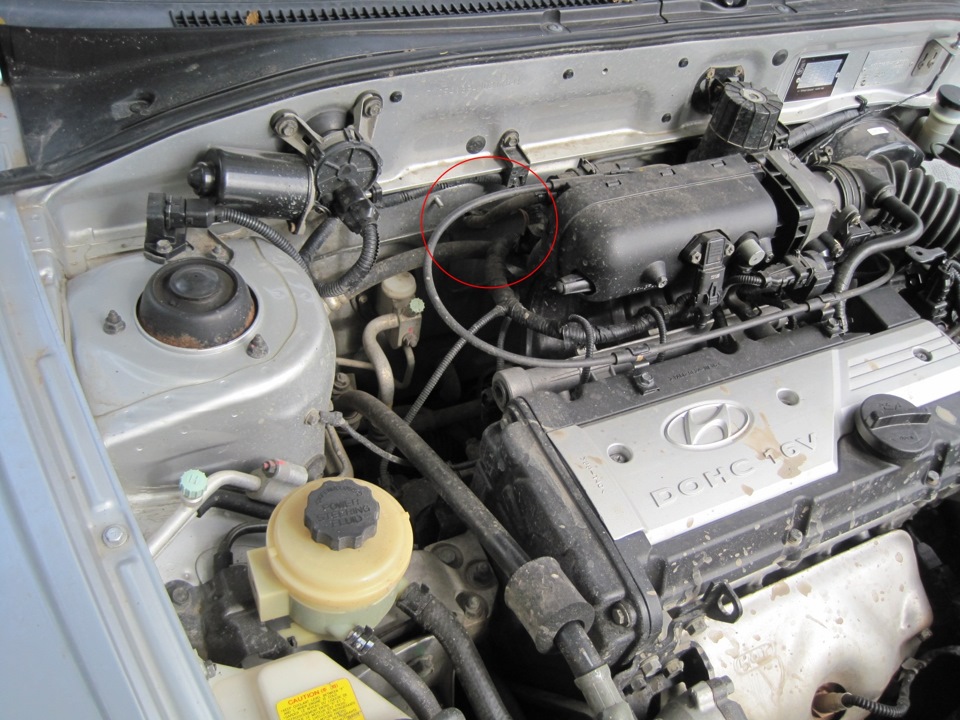 Фото в бортжурнале Hyundai Accent (2G)