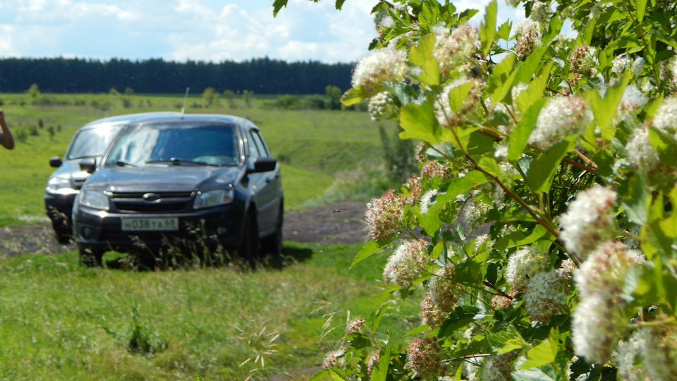 Фото в бортжурнале Lada Гранта Лифтбек (1G)