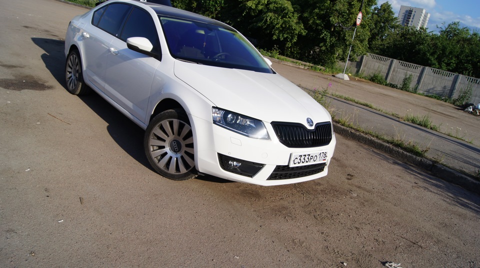 Фото в бортжурнале Skoda Octavia A7 Mk3