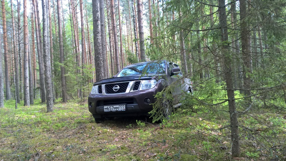 Nissan Navara nismo