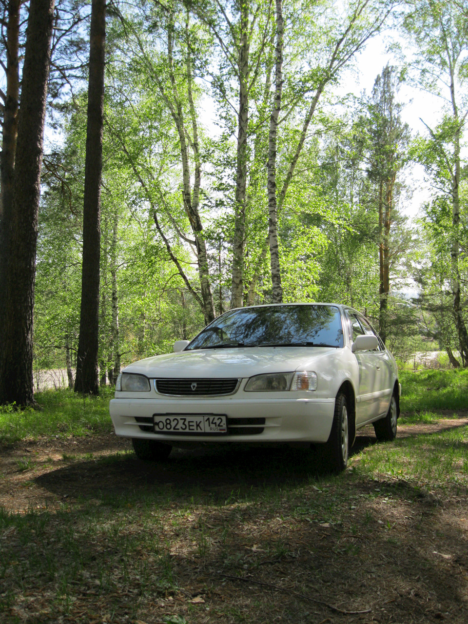 Фото в бортжурнале Toyota Corolla (110)