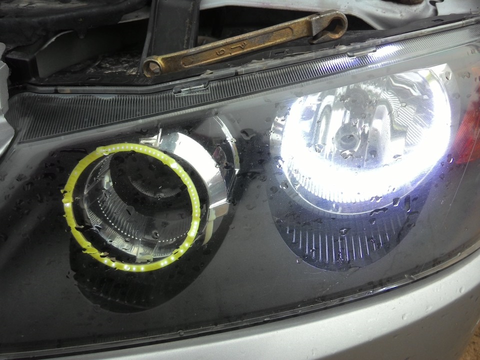 один вобще умер на днях. — Nissan Almera II (N16)
