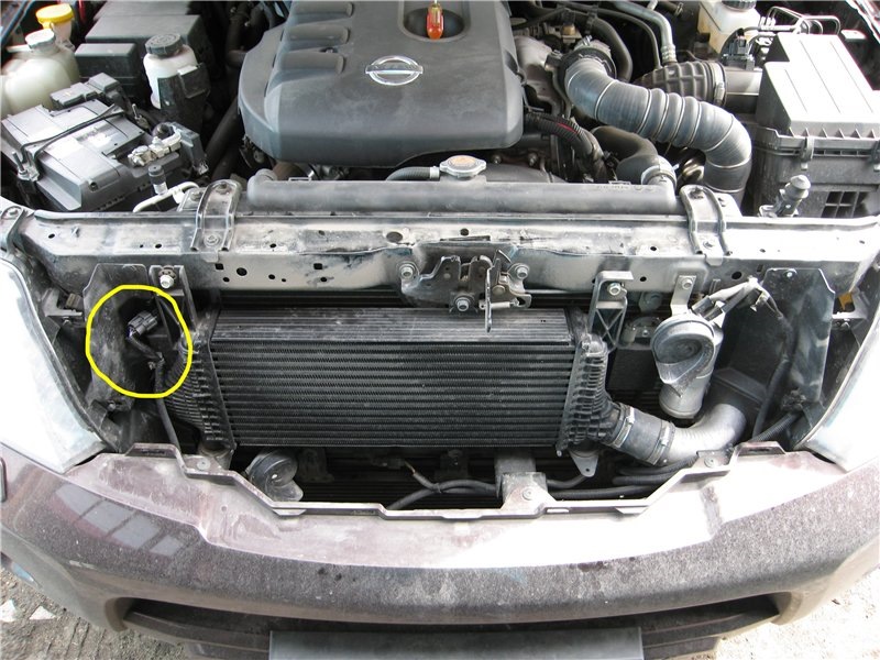 Фото в бортжурнале Nissan Pathfinder (3G)