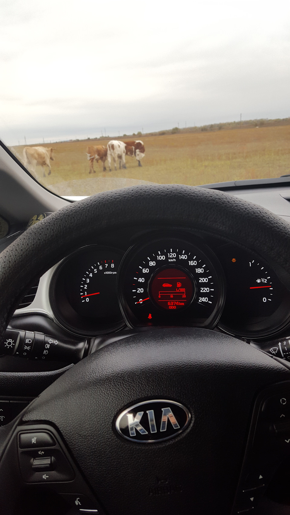 Фото в бортжурнале KIA Ceed (2G)