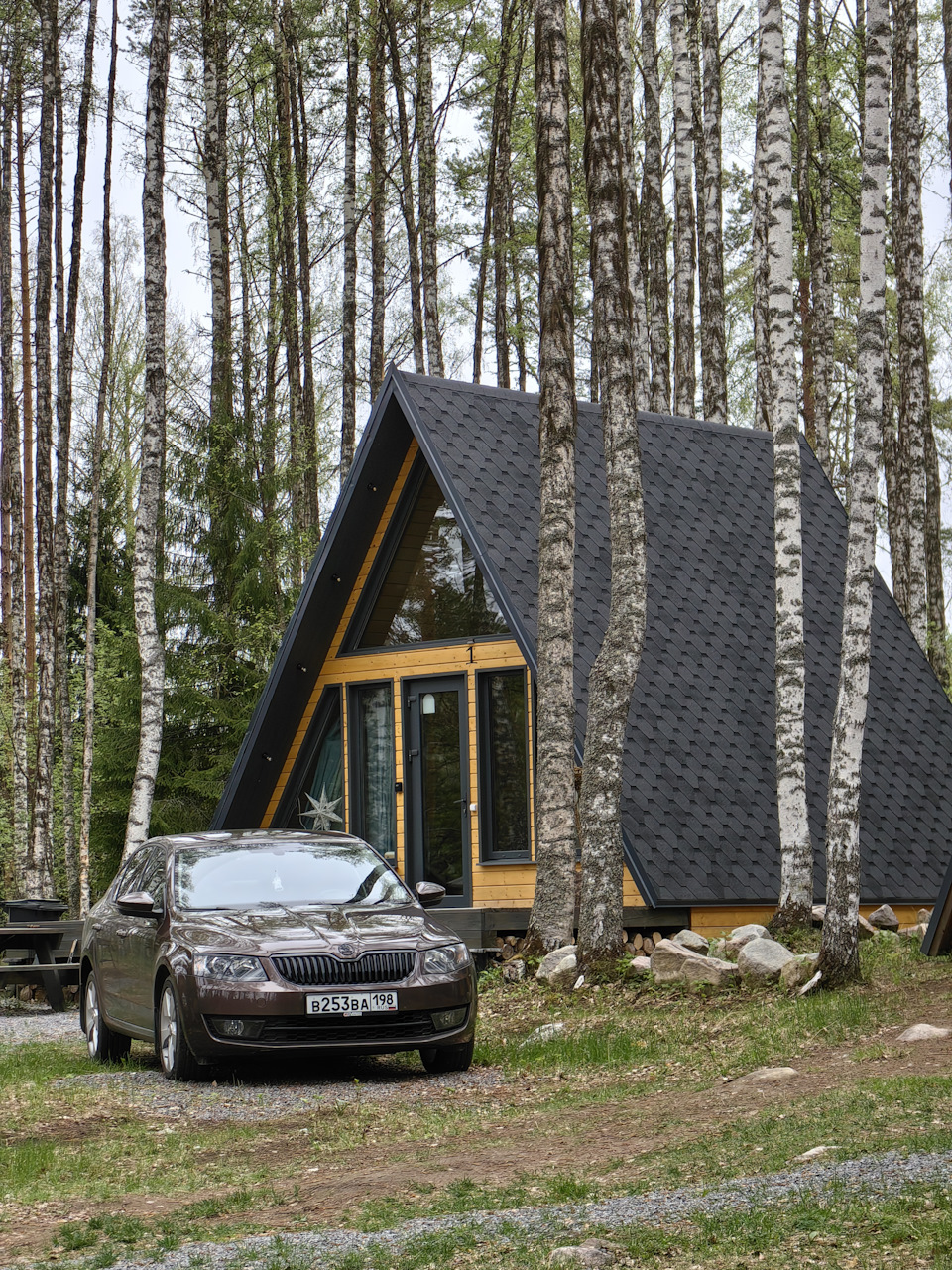 Фото в бортжурнале Skoda Octavia A7 Mk3