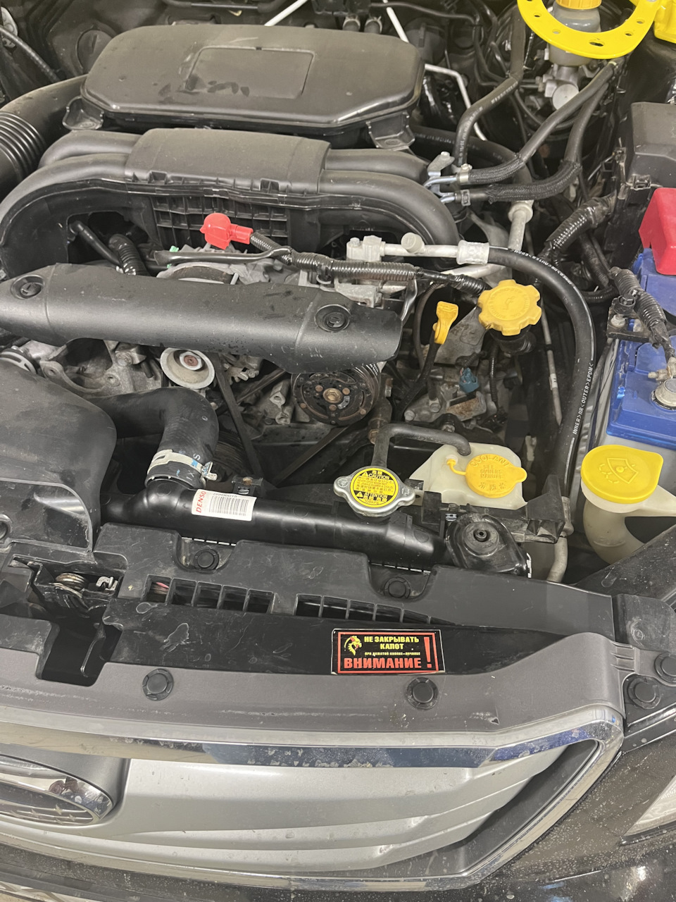 Фото в бортжурнале Subaru Outback (BR)