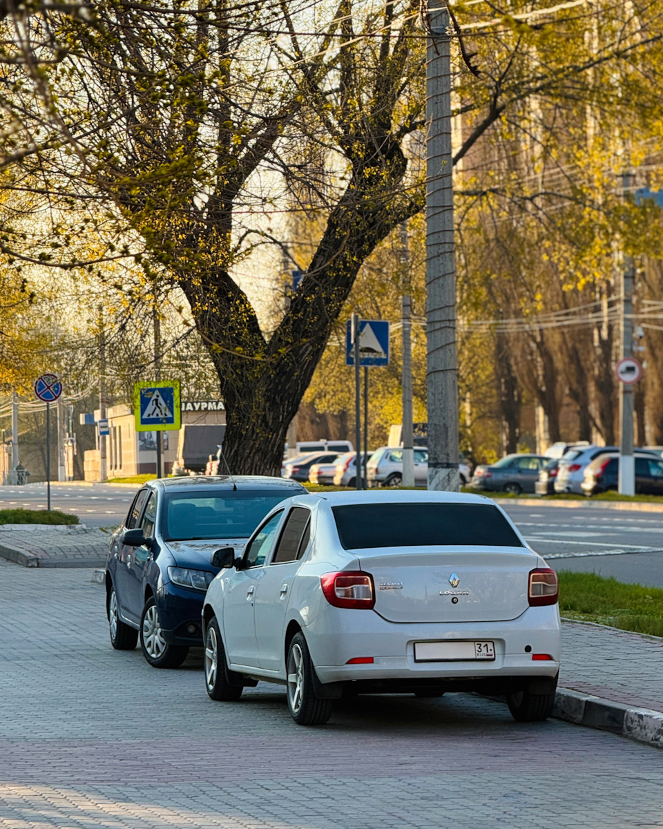 Нашел кореша себе на парковке) — Renault Logan (2G)