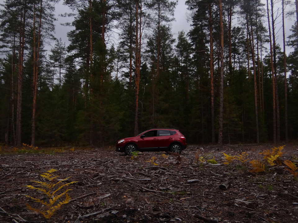 Фото в бортжурнале Nissan Qashqai (1G)