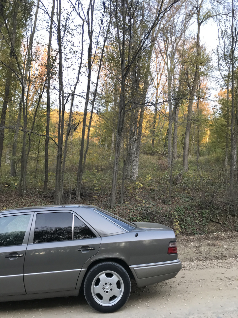 Фото в бортжурнале Mercedes-Benz E-Class (W124)