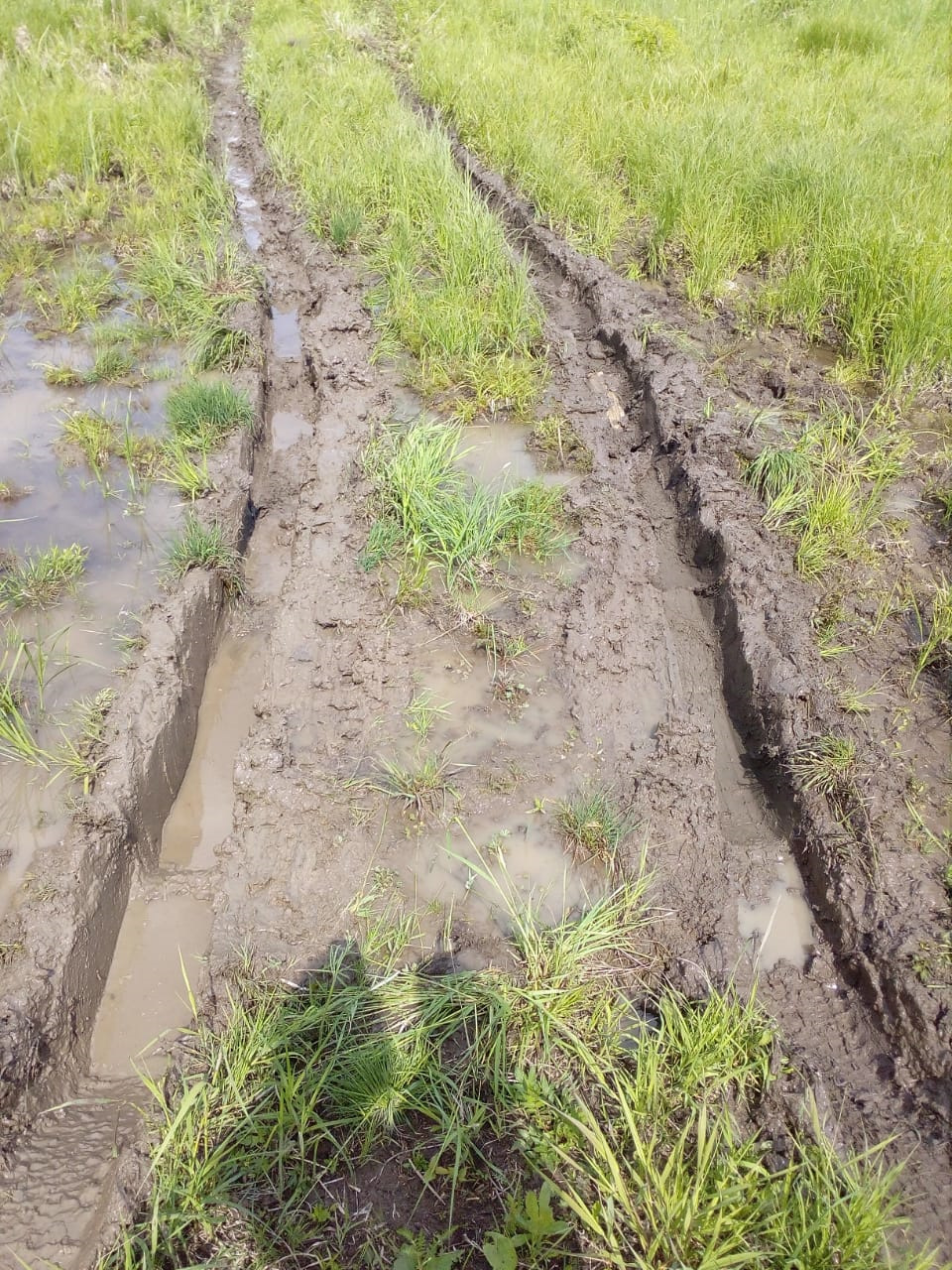 Фото в бортжурнале Lada 4x4 3D