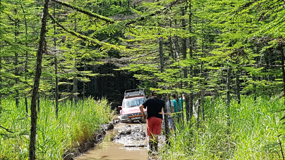 Фото в бортжурнале Nissan Safari (Y61)