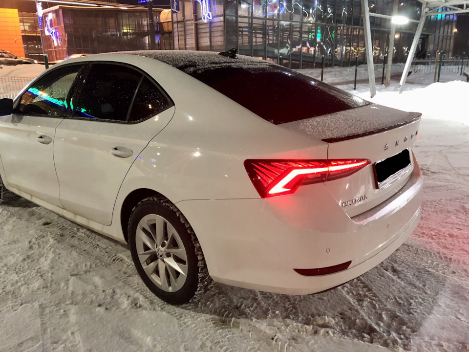 Вид сзади. — Skoda Octavia A8 Mk4