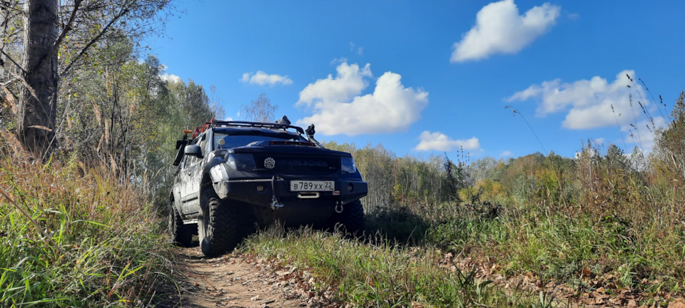 Фото в бортжурнале Nissan Pathfinder (3G)