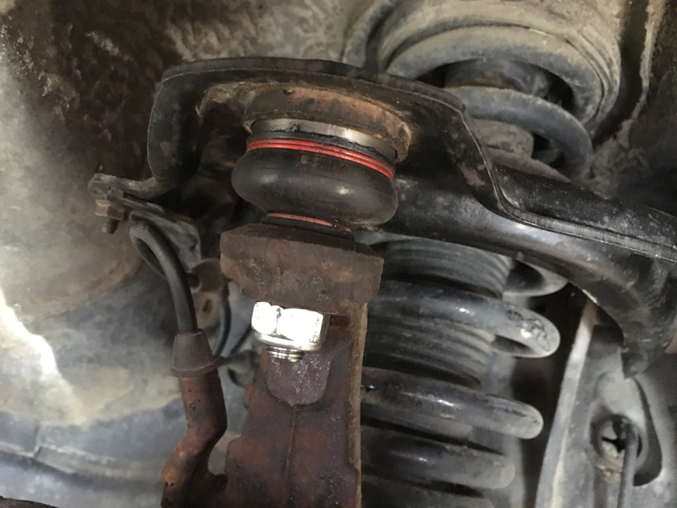 Фото в бортжурнале Honda Accord (7G)