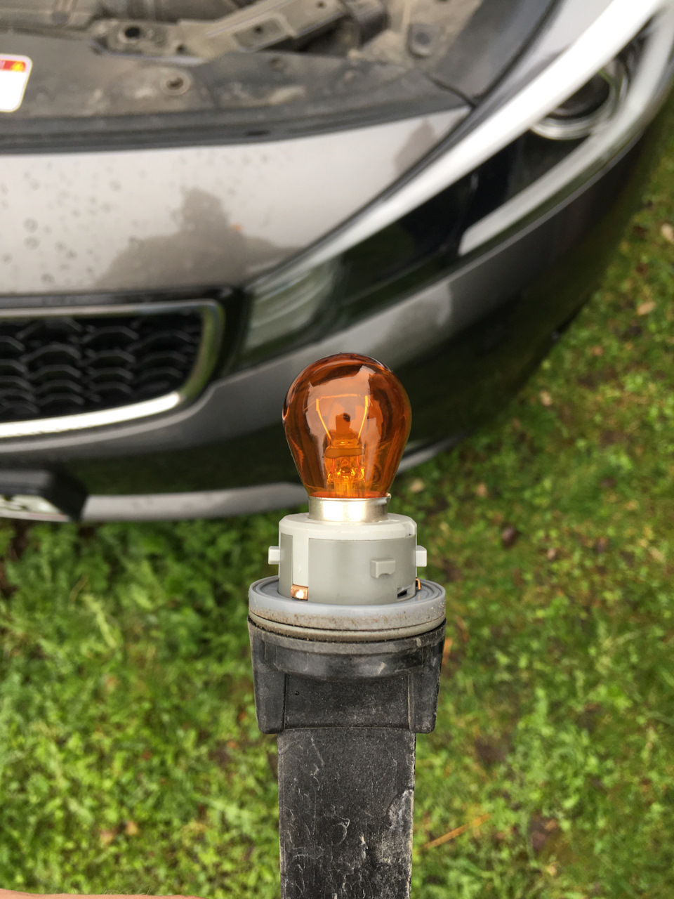 Фото в бортжурнале KIA Cerato (3G)