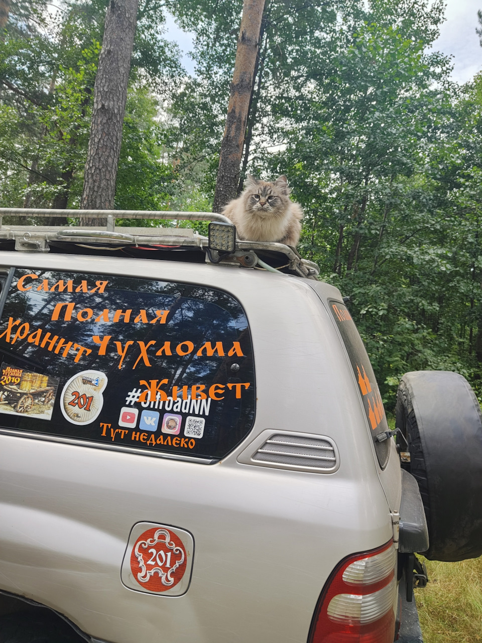 Фото в бортжурнале Toyota Land Cruiser 100