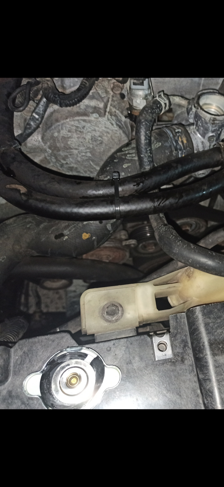 Фото в бортжурнале Infiniti M (3G)