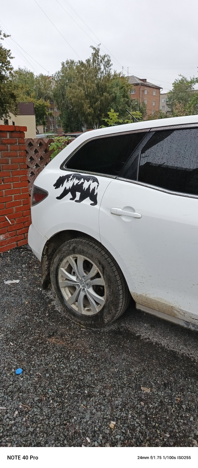 и наклейка гор с медведем — Mazda CX-7. Запчасти на фото: 110OS