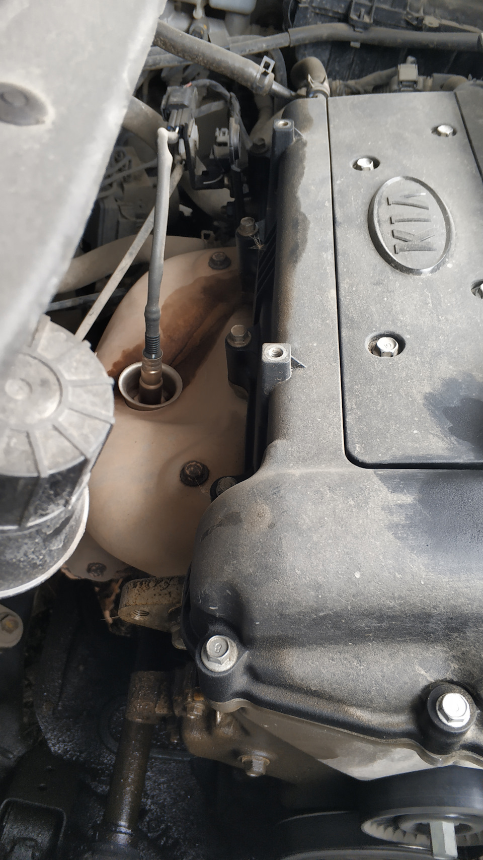Фото в бортжурнале KIA Ceed (1G)