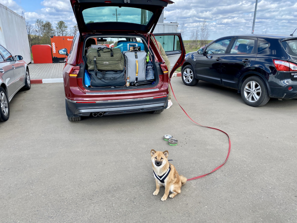 Набили машину до отказа :( — Volkswagen Tiguan (2G)